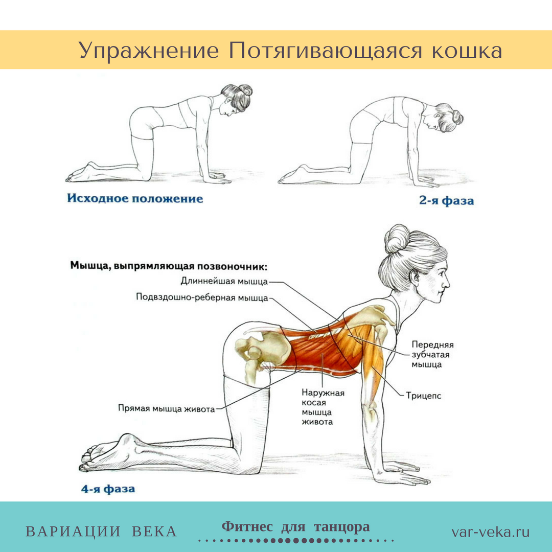 Упражнения для мышц спины. Упражнения для укрепления поясницы. Упражнения для укрепления мышц позвоночника. Упражнения для спины растяжка и укрепление.