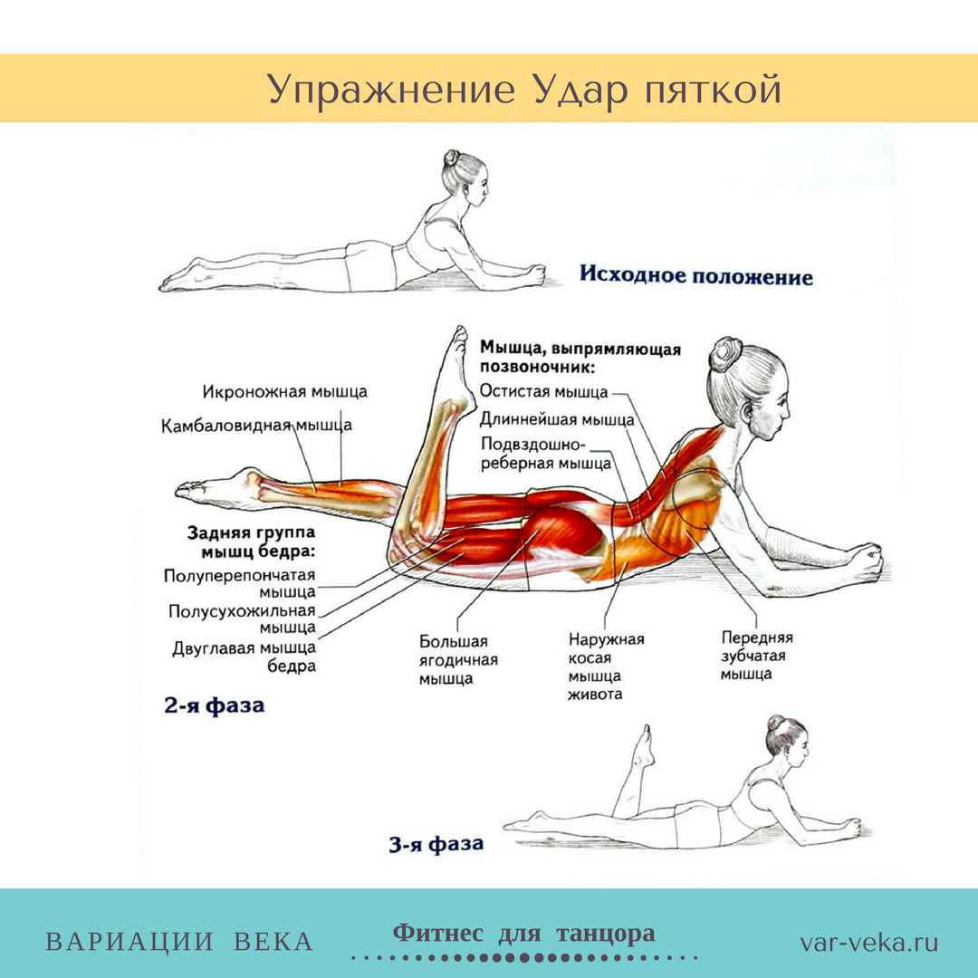 Упражнения на растяжку и укрепление мышц спины